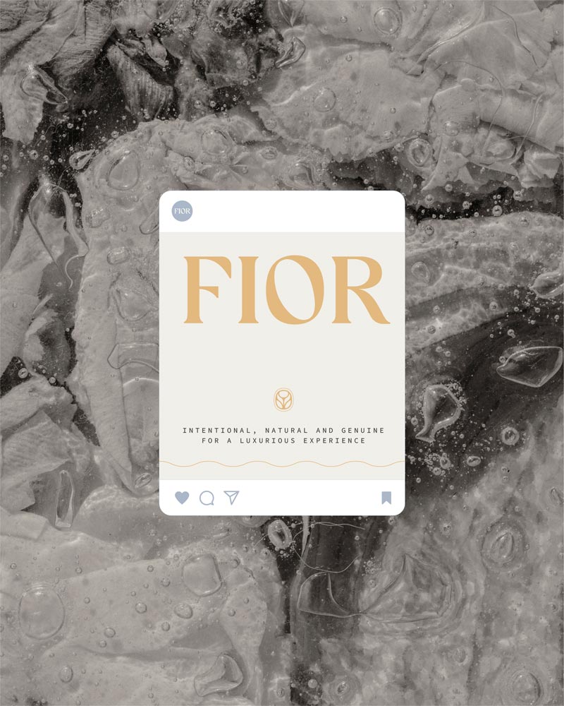fior instagram feed proyecto packaging branding apuchades estudio